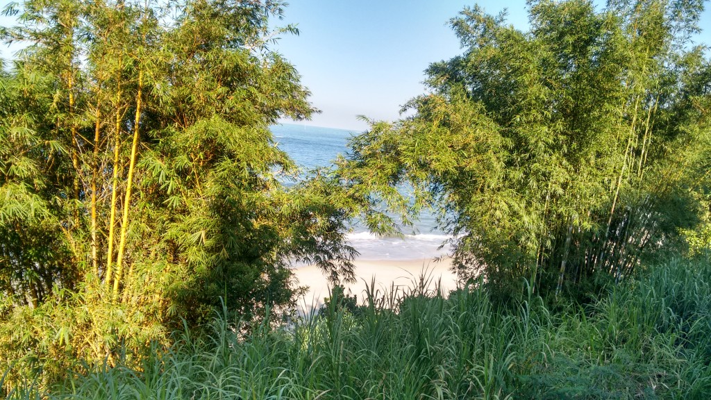 IMG_20160328_084626121_HDR