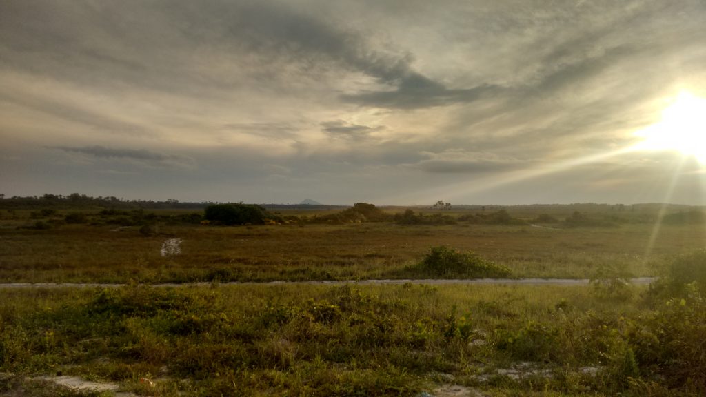 IMG_20160528_163655338_HDR
