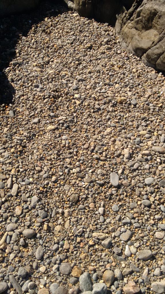 IMG_20160624_105555553